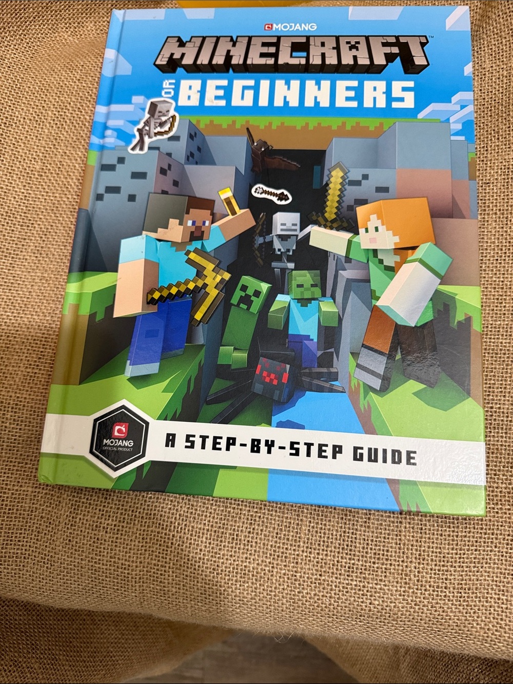 Minecraft: A Step-by-Step Guide for Beginners - Blue & Green hard cover
